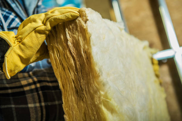Best Insulation Contractor Near Me  in Maple Grove, MN