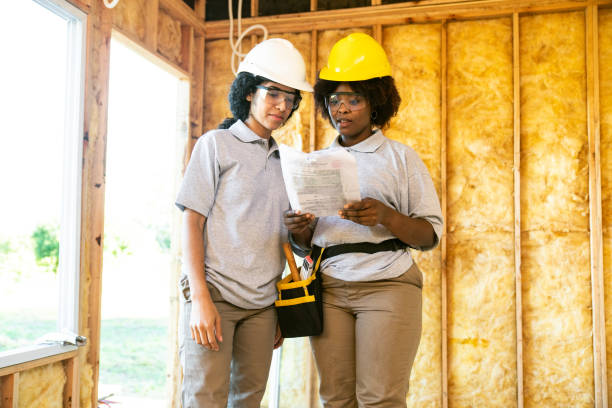 Best Wall Insulation Contractor  in Maple Grove, MN