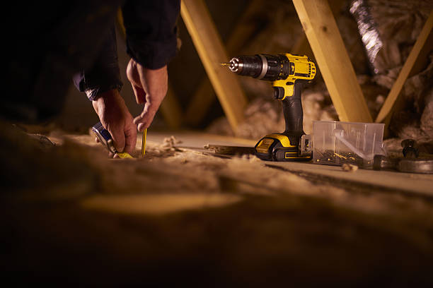 Best Attic Insulation Installation  in Maple Grove, MN