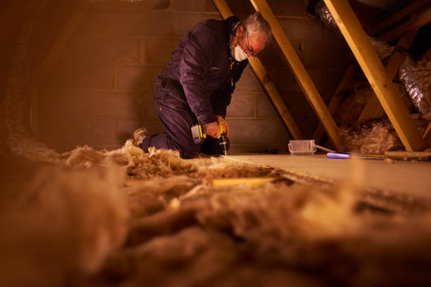 Best Home Insulation Services  in Maple Grove, MN